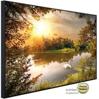 Papermoon Infrarotheizung »EcoHeat - Schwan am Teich«, Matt-Effekt - bunt