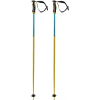 Völkl Phantastick 16 Mm Stöcke