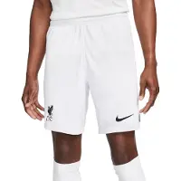 Nike Herren Fanhose LFC M NK DF STAD SHORT AW
