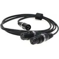 Fischer Amps XLR Adapterkabel für In Ear Stick / Mini Body Pack