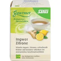 Salus Ingwer Zitrone Tee Filterbeutel