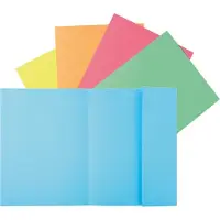 Exacompta 339000E 5x 50er Packung Sammelmappen SUPER 210 mit eine Klappe - Farben sortiert