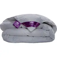 Silvana Bettdecke Royale Lila Daunen (Medium Light)-240 x 220 cm