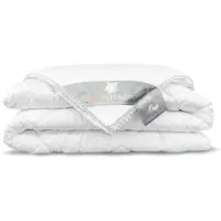 Heckett & Lane 4-Jahreszeiten Bettdecke Silver Daunen-260 x 220 cm