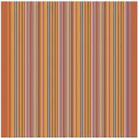 DDDDD Geschirrtuch Over the Rainbow Terra (6er Set)