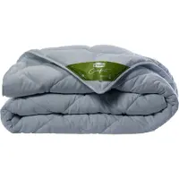 Silvana Bettdecke Comfort Extra Warm Grün-200 x 200 cm