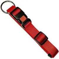 Kerbl MIAMI Halsband Nylon