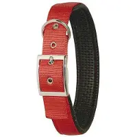 Kerbl Halsband Miami Plus