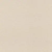 Rasch Vliestapete 464016 Selection Uni beige, 10,05 x 0,53 m GLO769058400