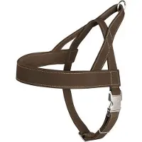Hunter Norwegergeschirr Hunting braun, Größe: XL / Breite: 2,5 cm