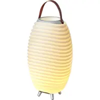Adlibris Kabelloser Lautsprecher mit LED und Eiskübel, Kooduu - Synergy 50
