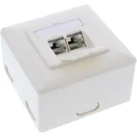 InLine Cat.6A Anschlussdose, AP/UP 2x RJ45 Buchse, RAL9010, weiß, waagerecht, 263 g, 85 mm, 85 mm, 60 mm, 206 g, 400 cm³