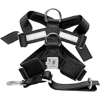 MimSafe - Allsafe Medium 15-30kg Car harness - crash-tested