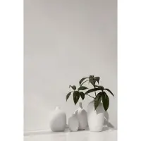 Blomus Vase Ceola White 8 x 18 cm