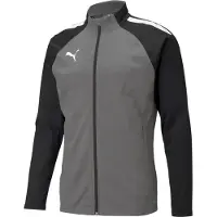 Puma Teamliga Trainingsjacke Herren - Grau
