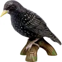 Goebel Figur " Vogel des Jahres 2018 - Star " in Bunt | Gr.: onesize