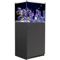 Red Sea REEFER 750 XXL Complete (G2 - Modelljahr 2022) Meerwasseraquarium mit Unterschrank schwarz