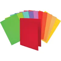 Exacompta 807001E 10x 30er Packung ROCKS 80 22x31cm - Farben sortiert