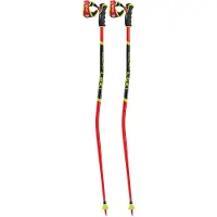 LEKI Herren Alpin-Skistock WCR GS 3D