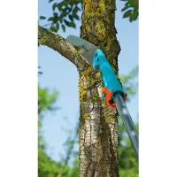 Gardena 8737, Backsaw, Grau, Orange, Silber, Edelstahl, Blau/Grau