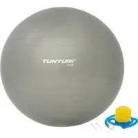 Tunturi Fitnessball - Yogaball mit Pumpe - Pilatesball - Schwangerschaftsball - 75 cm - Farbe: silber - Inkl. kostenloser Fitness-App