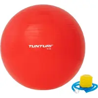 Tunturi Gym Ball Fitball
