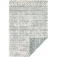NORTHRUGS Teppich "BIRI Wendeteppich" Gr. 3, beige (creme, grün), B:120cm H:5mm L:170cm, Polypropylen (PP), Teppiche, Teppich, In-& Outdoor, Wetterfest, Balkon, Läufer, Wohnzimmer, Wasserfest, Boho