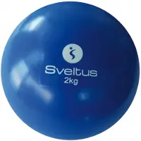 SVELTUS Ball mit Gewichten 2 kg