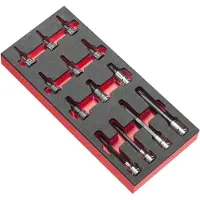 Facom Schaumstoffmodul 13x TX Stecks. 1/2