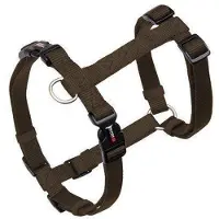 Wolters Professional tabac Geschirr 50 - 70 Centimeter