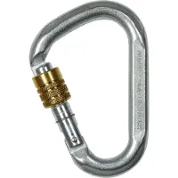 Ct Karabiner Snappy SG Schrauber