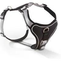 Fressnapf Professional Comfort Geschirr silber/schwarz 40 - 45 cm