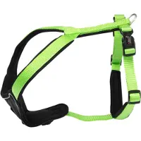 Fressnapf Professional Comfort kiwi/schwarz Geschirr 40 - 45 Centimeter x 25 Millimeter