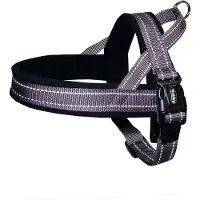 Nobby Norwegergeschirr Classic REFLECT Soft