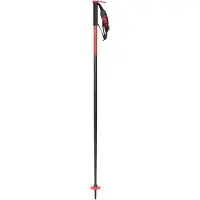Line Pin 22/23 Alpinskistöcke