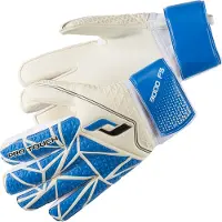 PRO TOUCH Herren Handschuhe Force 3000 FS