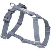 Amiplay Guard Samba verstellbarer Gurt XL Grau
