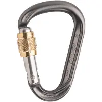 Austrialpin HMS MiniMi Screwgate Karabiner grau