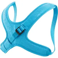 Edelrid Kermit II icemint (329)