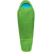 Gruezi-bag Schlafsack Grüezi Grow Colorful Gecko Green Gecko Green Kinder