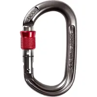 Ocun Osprey Screw Snap Hook Grau