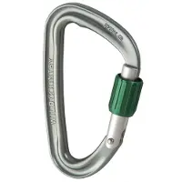 Wild Country Eos Snap Hook Grün,Silber