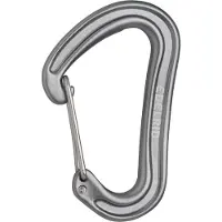 Edelrid Nineteen G II Karabiner grau