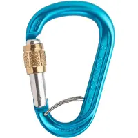 Austrialpin HMS Rondo Screwgate Karabiner with Selfie blau