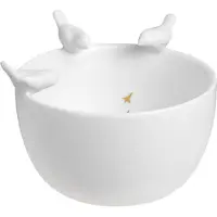 Räder Vögel