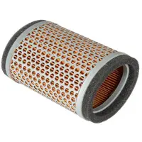 Delo Luftfilter T2202450