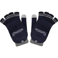 Cinereplicas Harry Potter: Ravenclaw