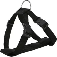 Jolly Paw Autogeschirr Größe S 30-60 cm