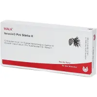 Wala Iscucin pini Stärke H Ampullen 10x1 ml