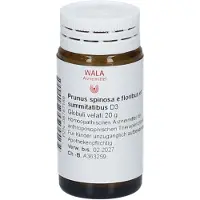 Wala Prunus Spinosa E floribus et summitatibus D 3 Gl. 20 g Globuli